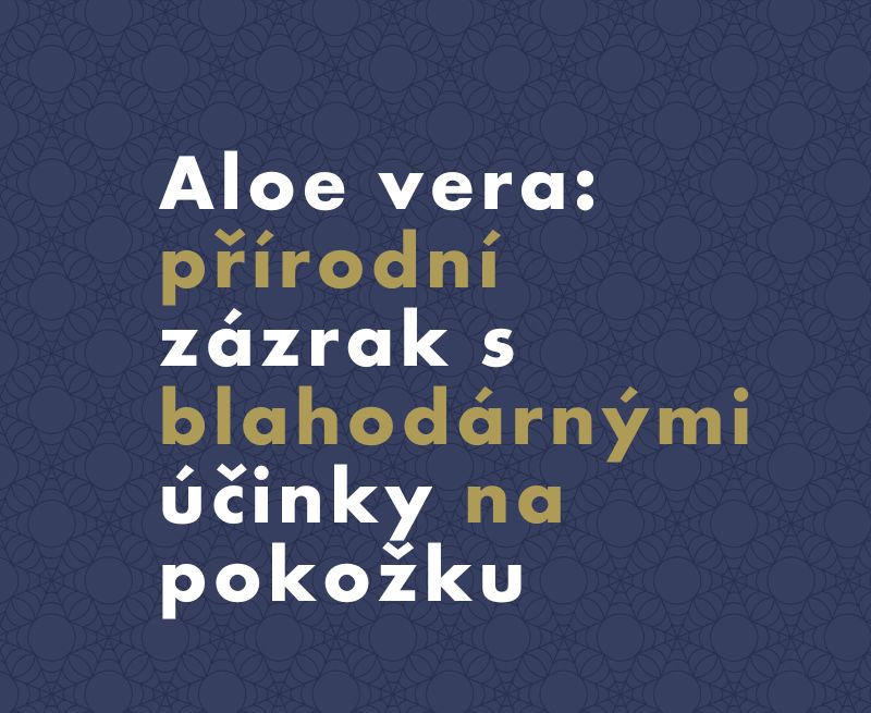Aloe vera: Jak m inky na ple a pokoku?